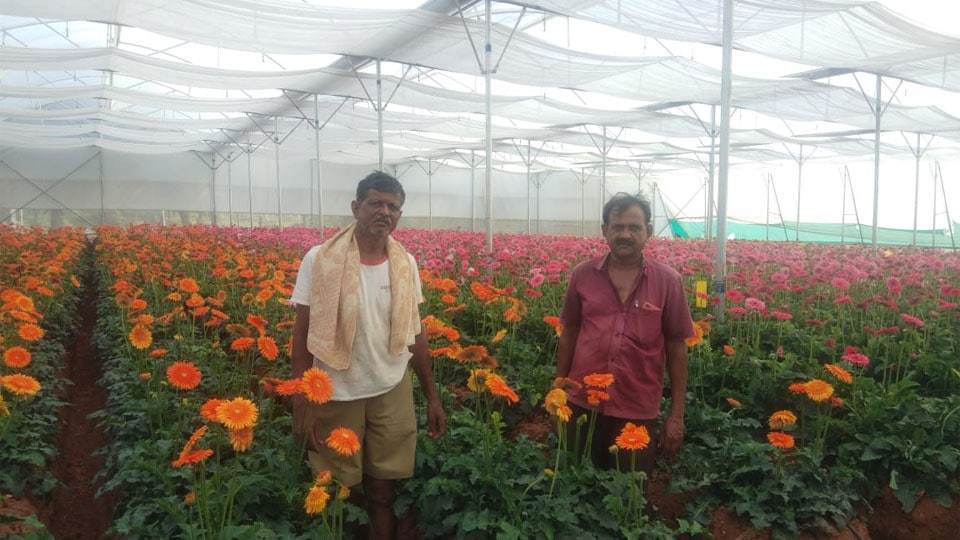 https://starofmysore.com/wp-content/uploads/2020/05/farmers-flower.jpg