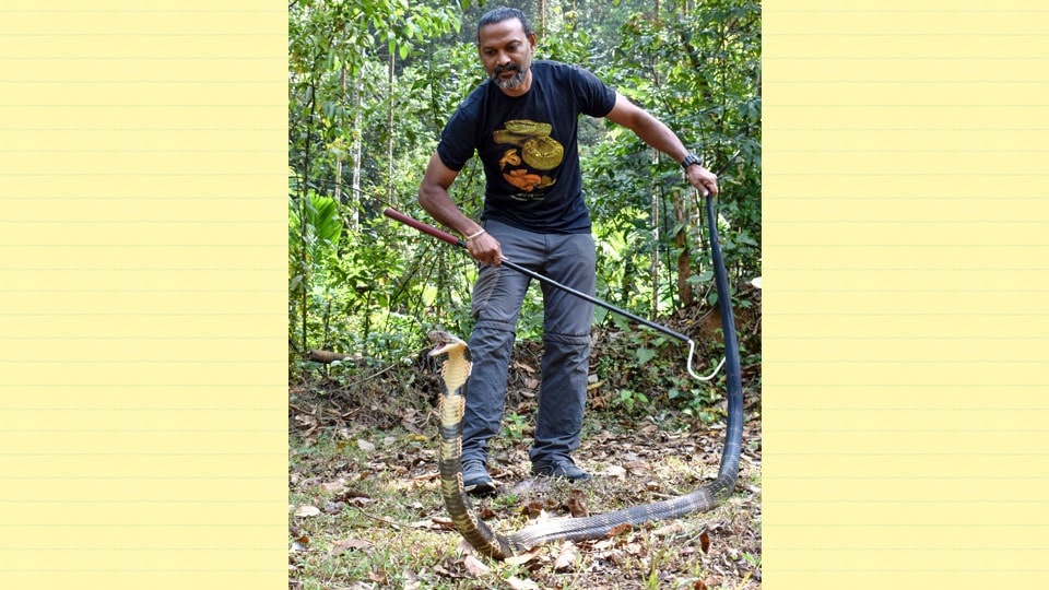 STORM-REVIEWER online workshop on snake rescue
