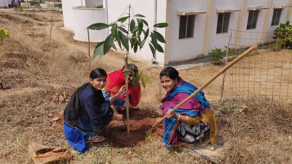 Happy World Foundation plants 70 saplings at Hunsur School