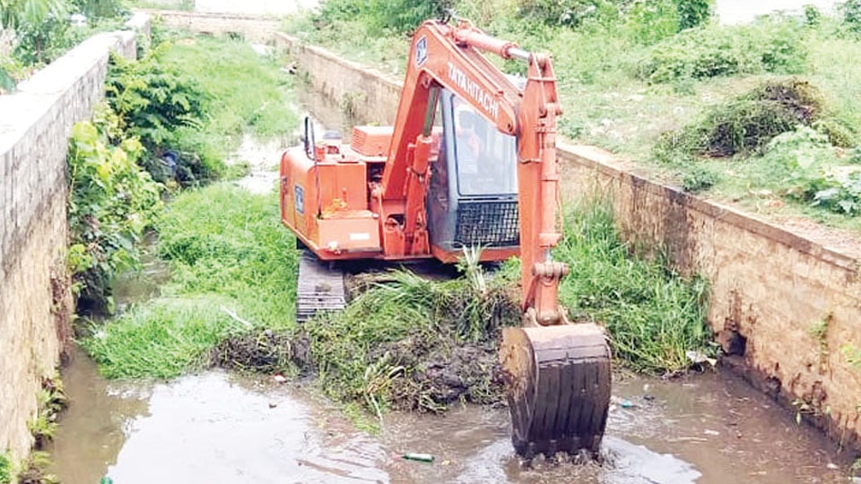 Mysuru City Corporation cleans storm water drain ahead of monsoon