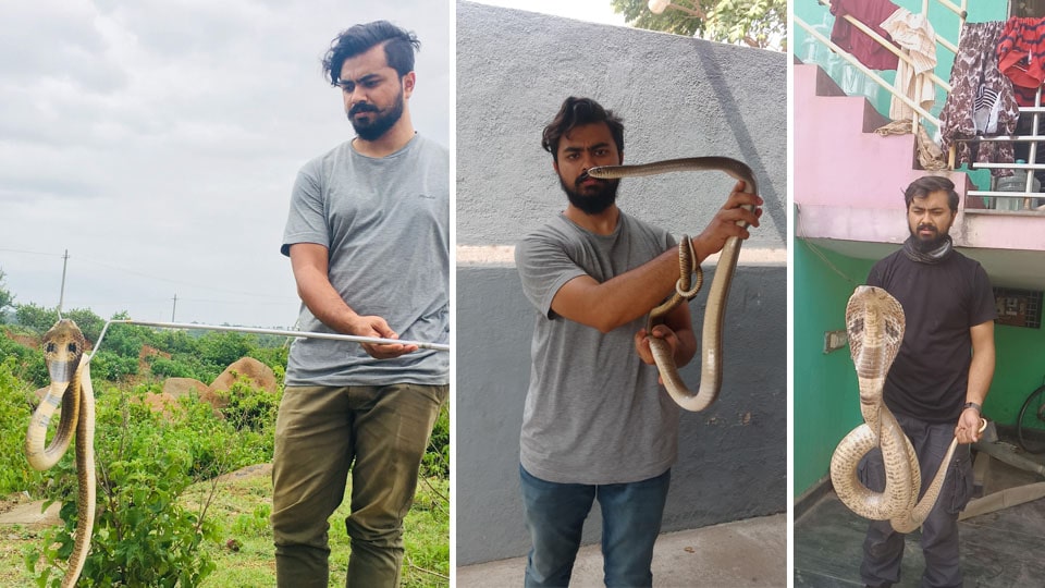 City Engineering grad’s tryst with Snakes