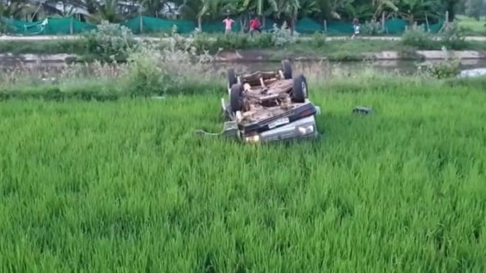 Man injured after steering vehicle into paddy field