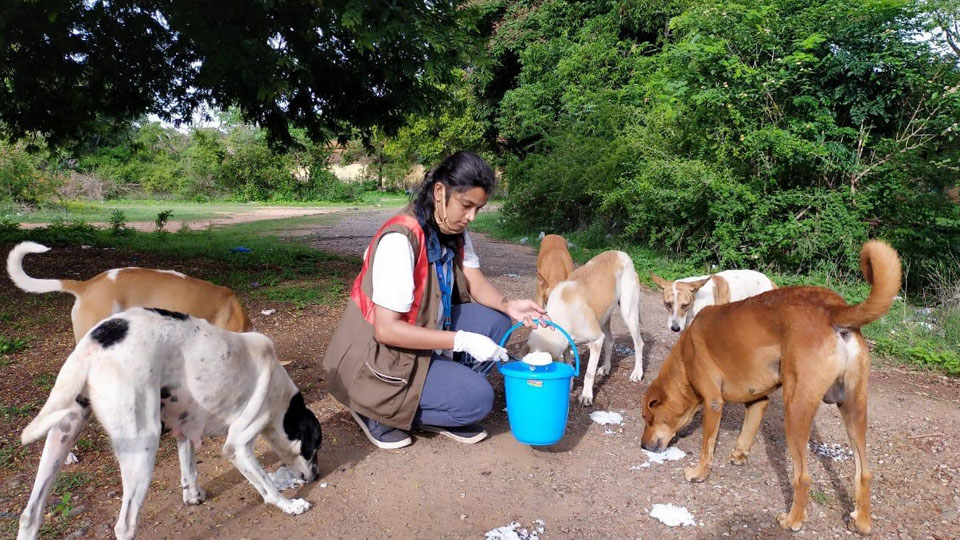 NITI Aayog lauds city lecturer for feeding stray dogs during lockdown