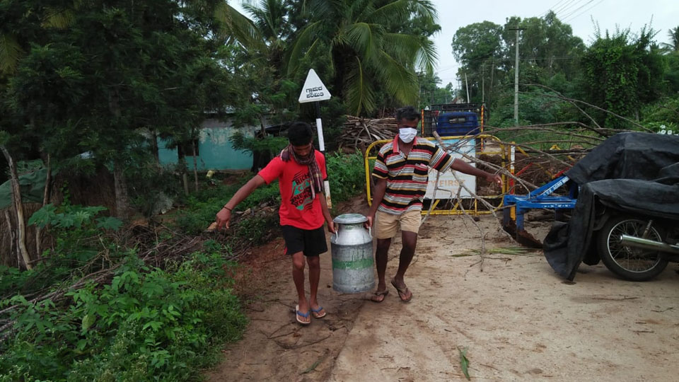 Despite being sealed, villagers ensure uninterrupted milk trade