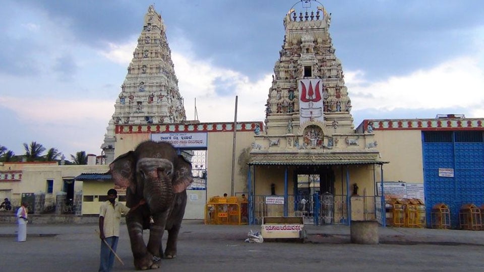 M.M. Hills Temple renews FSSAI licence for ‘laddu prasada’
