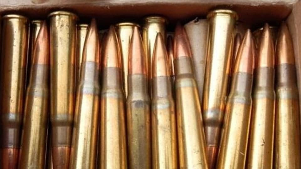 20 live .303 bullets found underwater in Kapila River