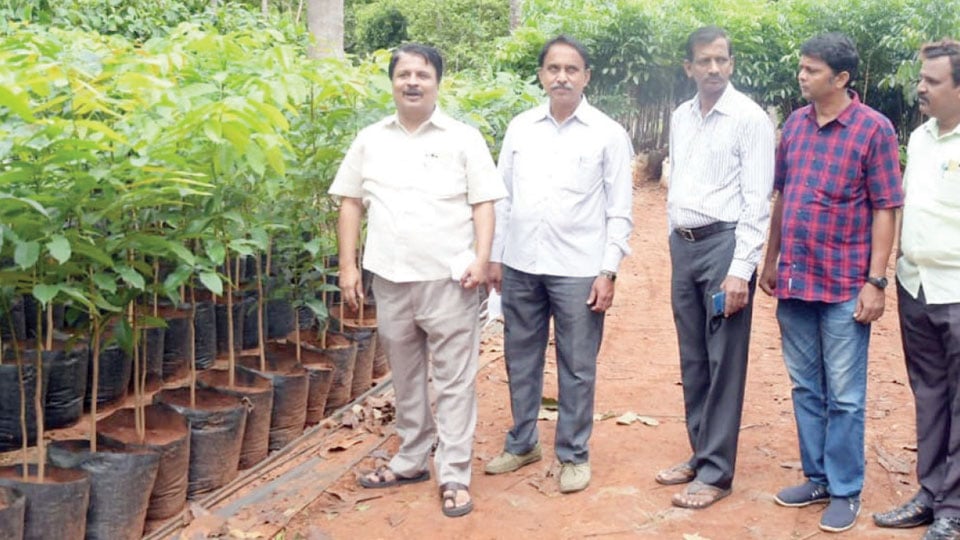 Campaign to plant one lakh saplings