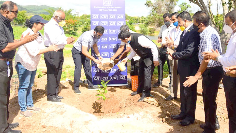 Tree-planting, sticker campaign on Environment Day