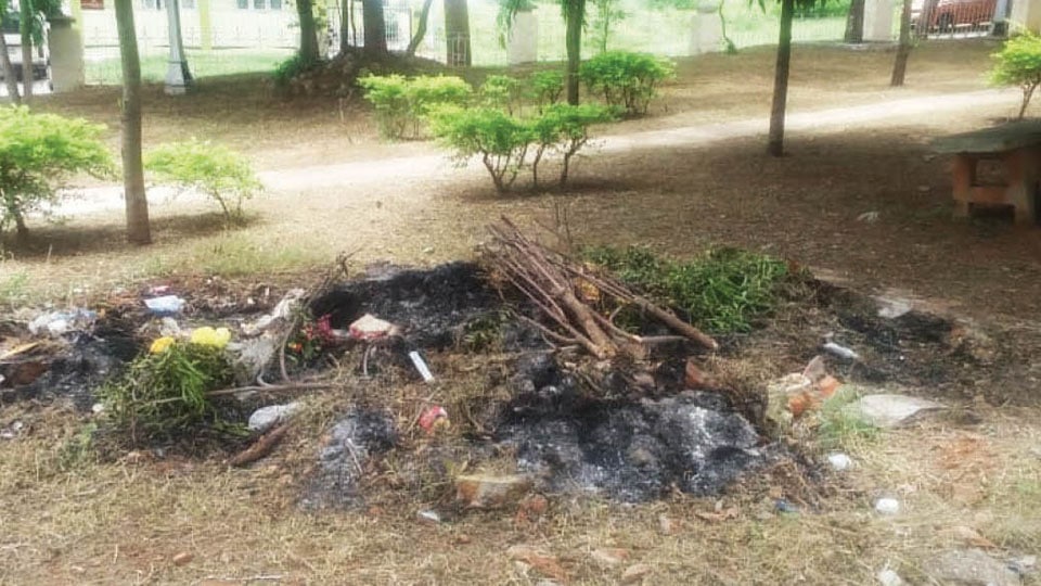 Garbage being set on fire at Siddarthanagar