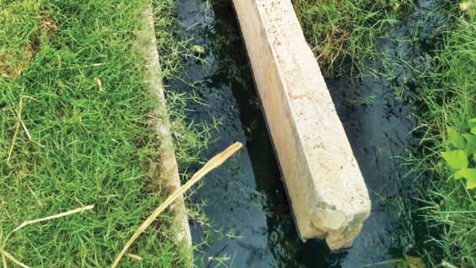 Drainage water woes at Meghalapura