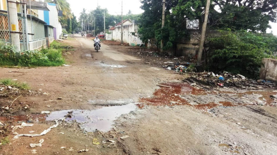 Pathetic condition of BB and Sons Road in Bannimantap