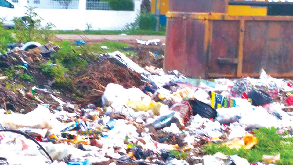 Plea to clear garbage dumped near new Court Complex