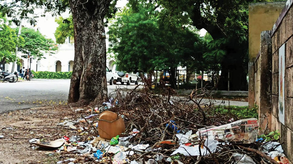 A garbage dumping spot near DC’s Office