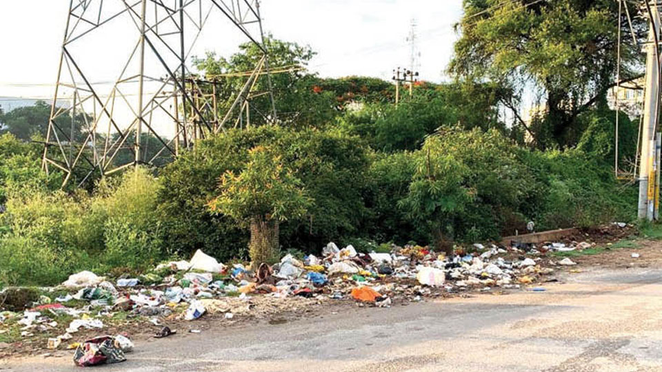 Remove garbage dumped at Gokulam 3rd Stage