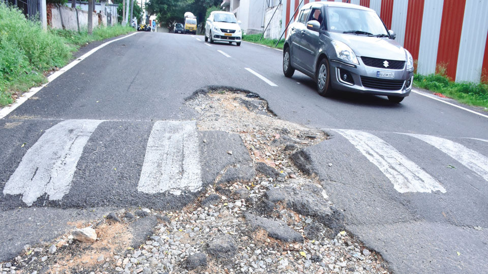 Road Humps and Potholes: A Nightmare for Motorists