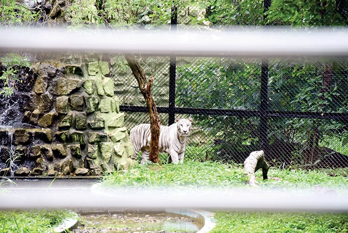 Zoos of Karnataka' App launched - Star of Mysore