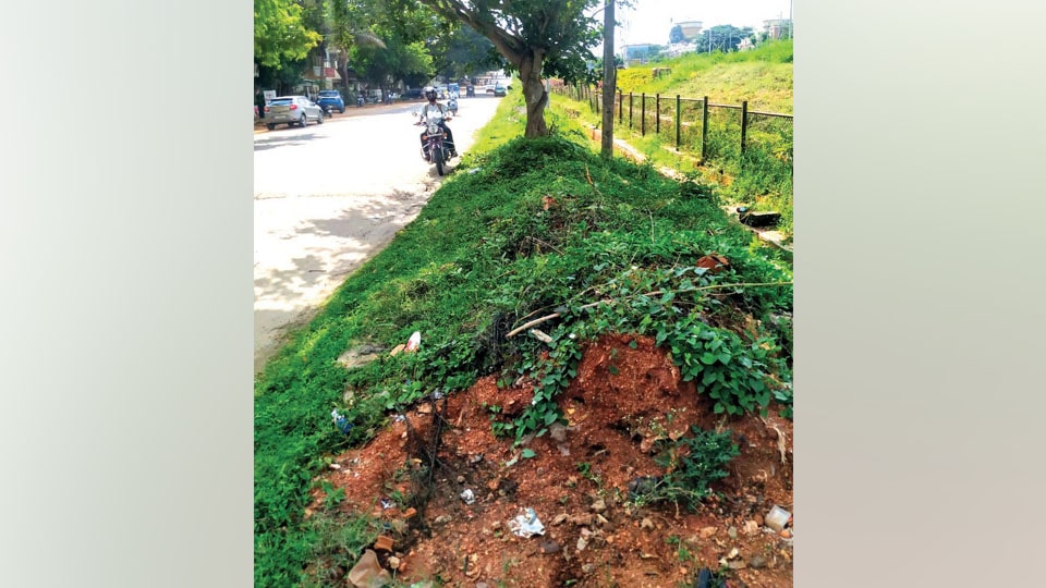 Plea to clear mud and other wastes dumped on footpath in Vijayanagar