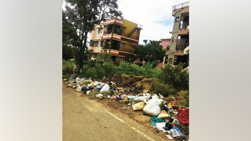 Plea to clear garbage dumped near Triveni Circle at Kalyangiri