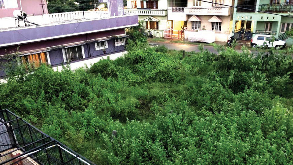 Weeds, garbage-filled vacant sites causing problems at Ramakrishnanagar