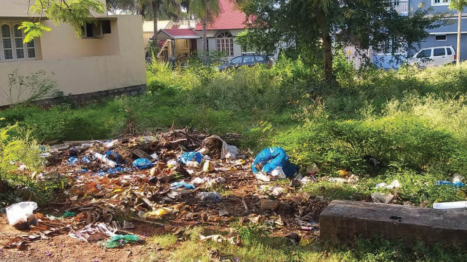 Plea to clear garbage at Shaktinagar