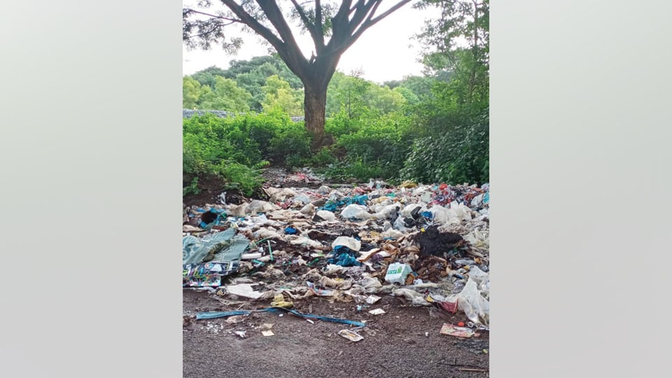 Plea to clear garbage on Railway Goods Shed Road