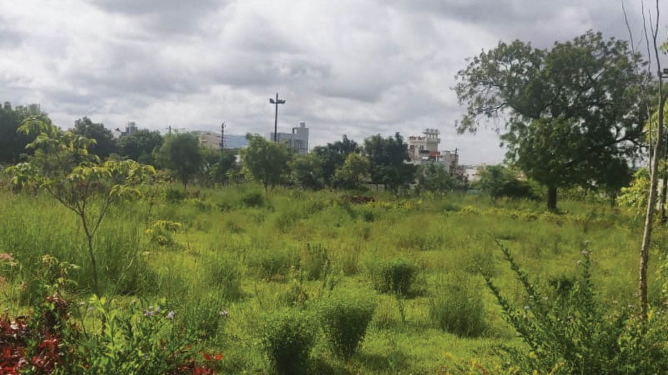 Plea to maintain and develop park at Vijayanagar 4th Stage