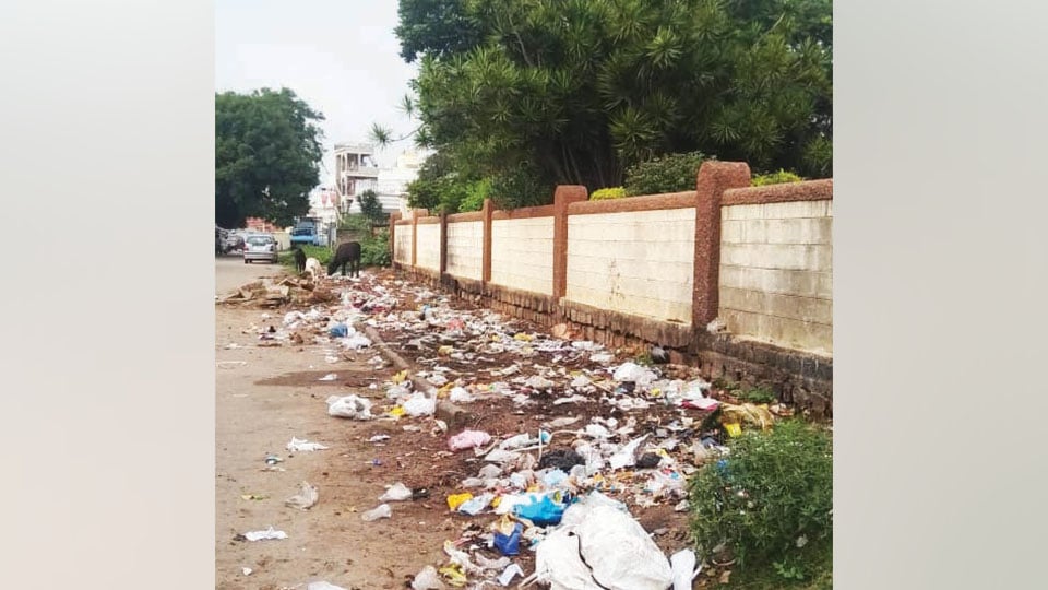 Prevent public from dumping garbage at Fort Mohalla