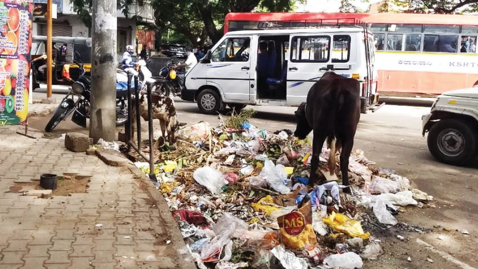 Prevent garbage dumping at Nanjumalige Circle