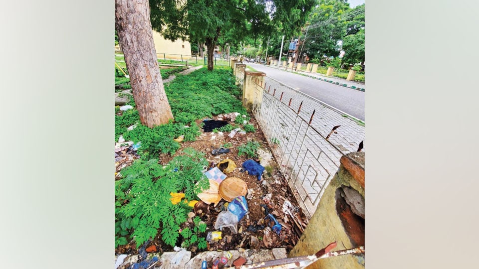 Clear this garbage dump inside park at Lakshmipuram