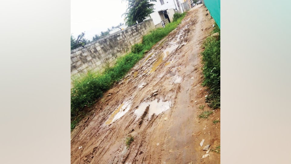The pathetic condition of the road at Damodar Nagar