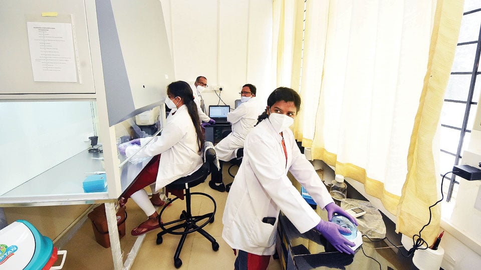 Govt. slashes RT-PCR rates for early detection of COVID-19