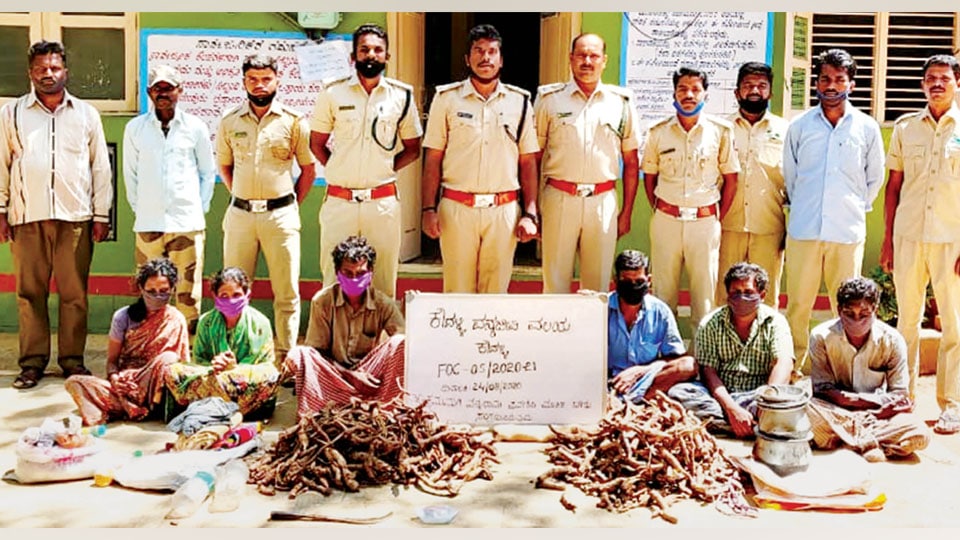 Collecting ‘Maakali Beru’ from Hanur forest area: Six arrested