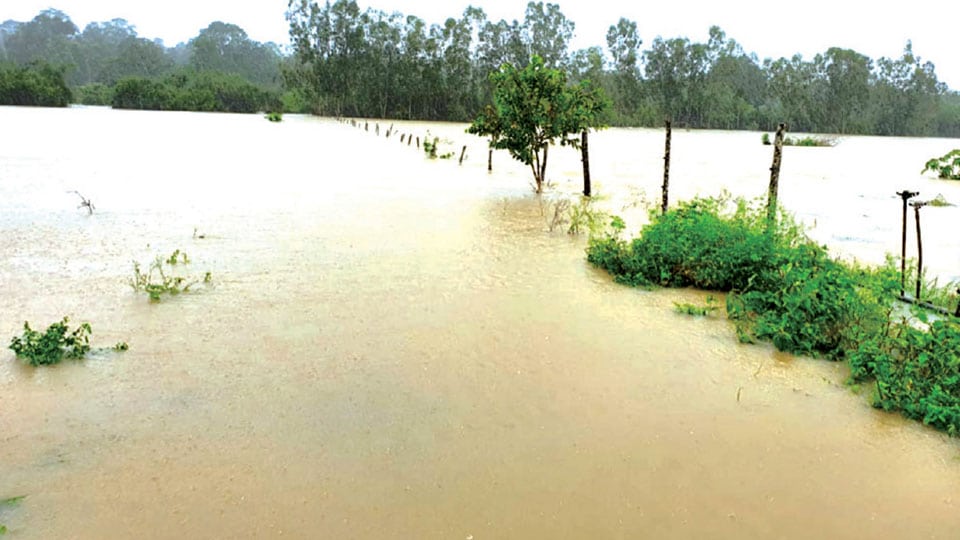 Overflowing Lakshmantheertha River wreaks havoc in Hunsur