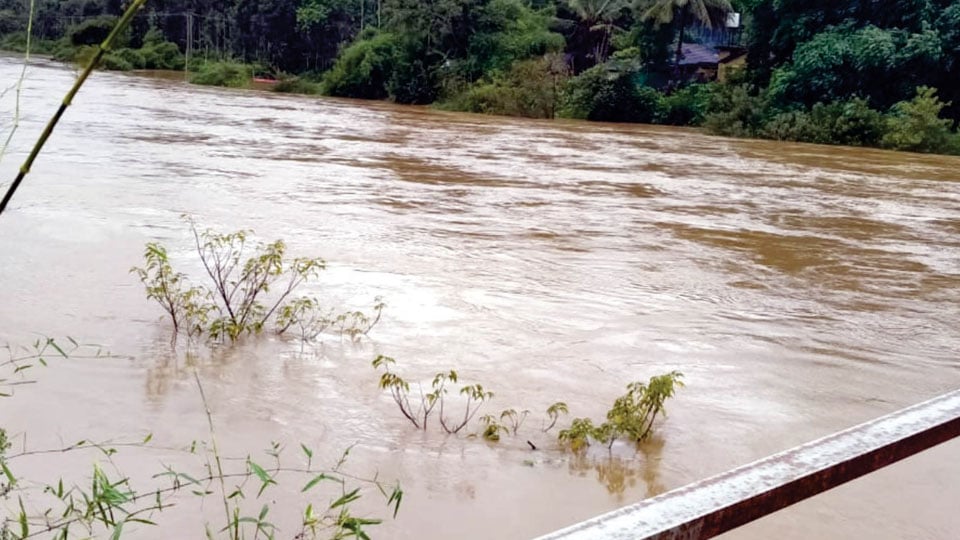 Rain pounds Kodagu; all rivers in spate