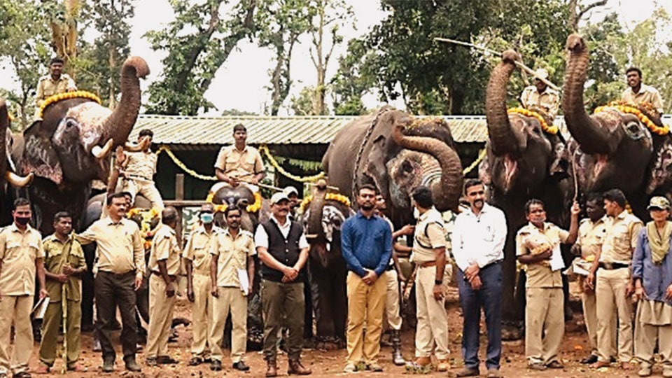 Nagarahole an ideal place for elephant habitat