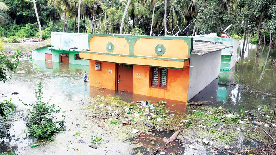 ‘Task Force planned to check flood’
