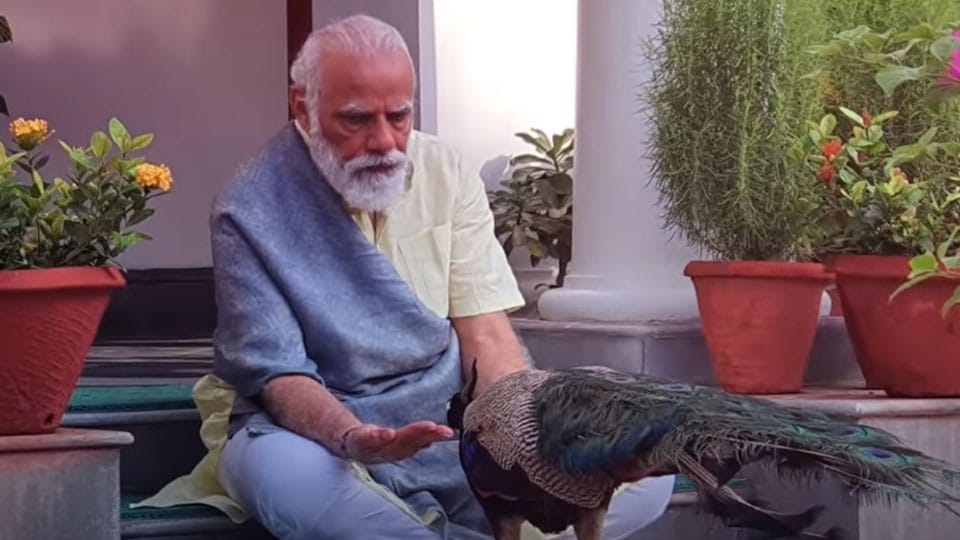 National Bird visits PM’s house, enjoys hospitality