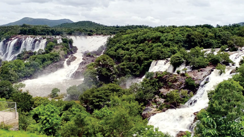 Bharachukki Falls re-opens for tourists from today