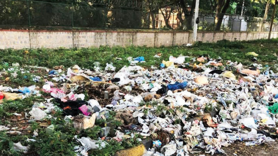 Plea to remove garbage dumped on Valmiki Road