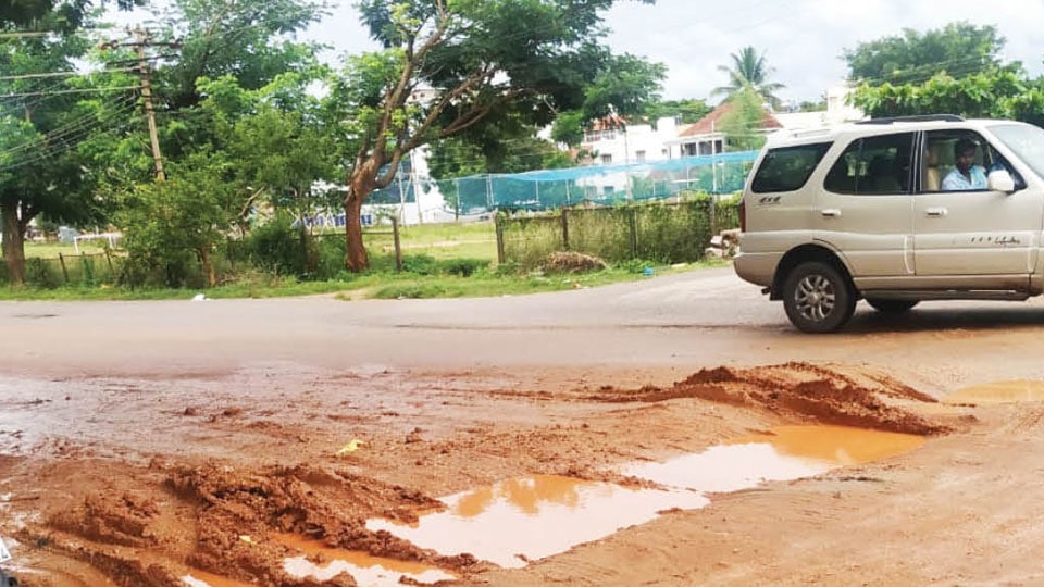 Plea to repair this road at Vijayanagar 2nd Stage