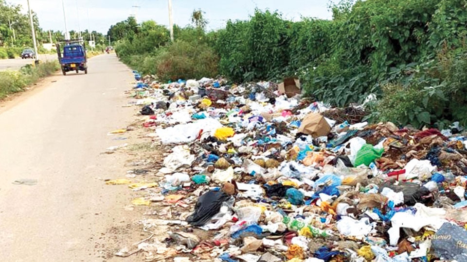 Garbage dumped on Service Road in Bogadi