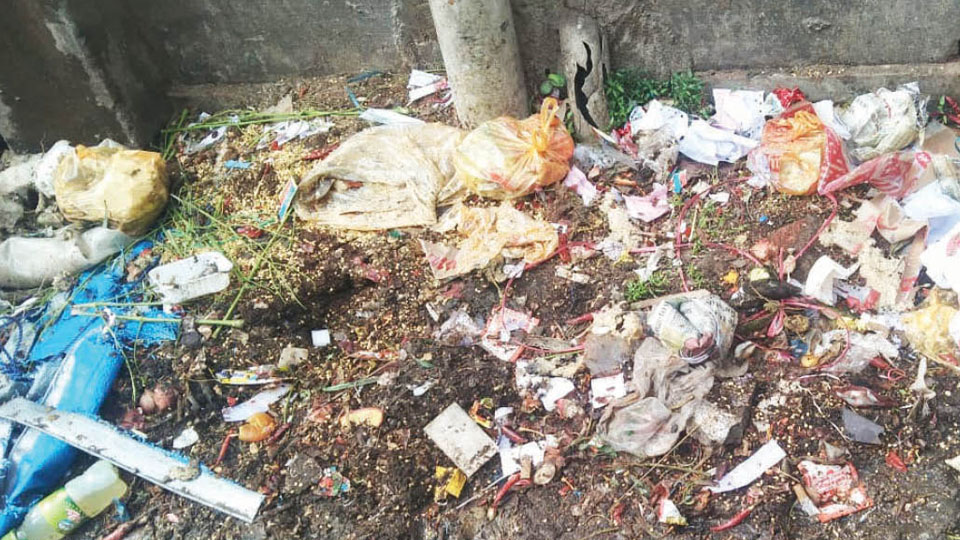Plea to clear garbage dump near Duplin Complex at Shivarampet