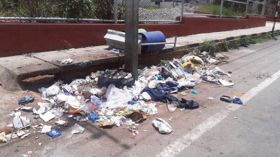 Plea to clear garbage dumped on Shivarampet Main Road