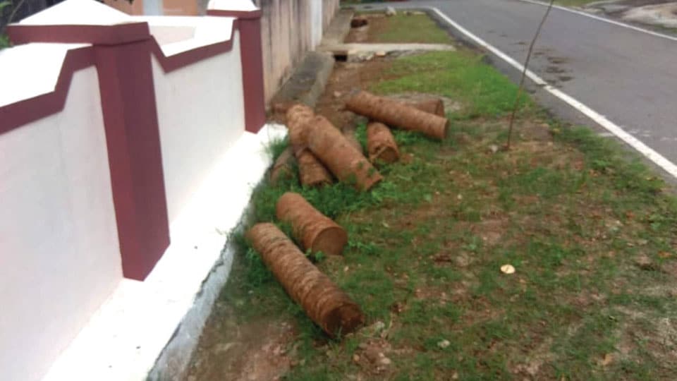 Plea to clear coconut trunks dumped on Paramahamsa Road
