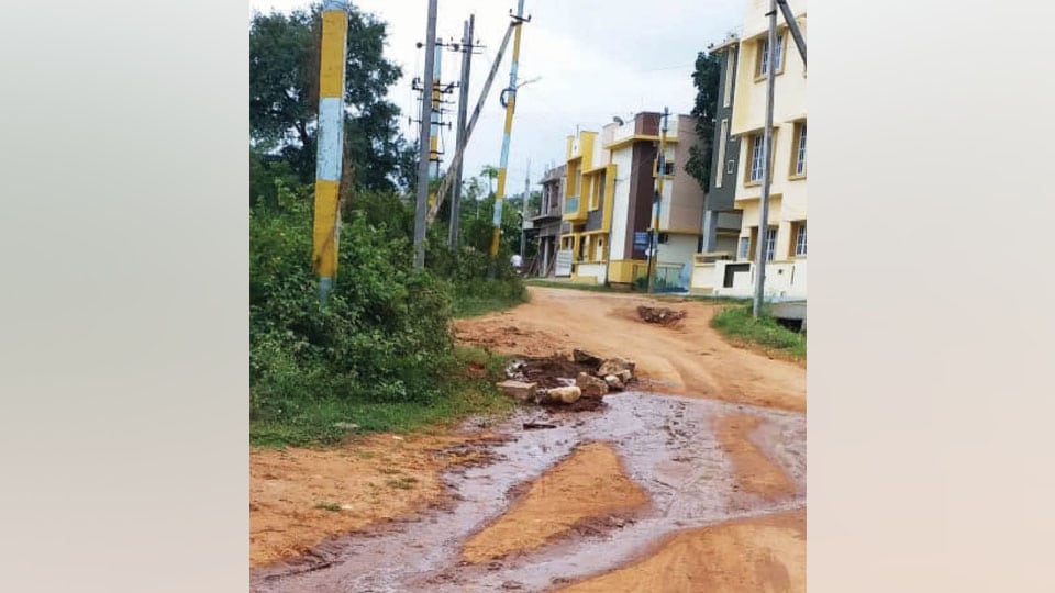 Damaged water pipe needs to be repaired at Hamsa Layout