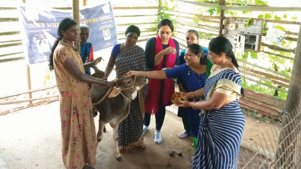Inner Wheel Club of Mysore Central hands over cattle to women in distress