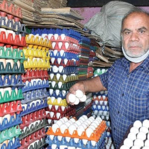 Winter chill sends egg prices soaring