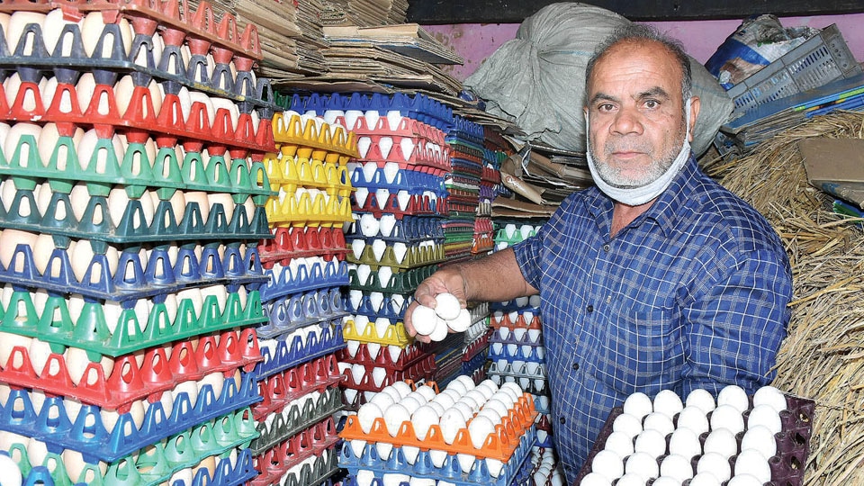 Egg prices head north in city