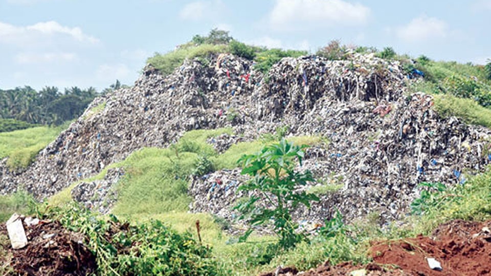 Project clearing Excel Plant stench caught in tender quagmire