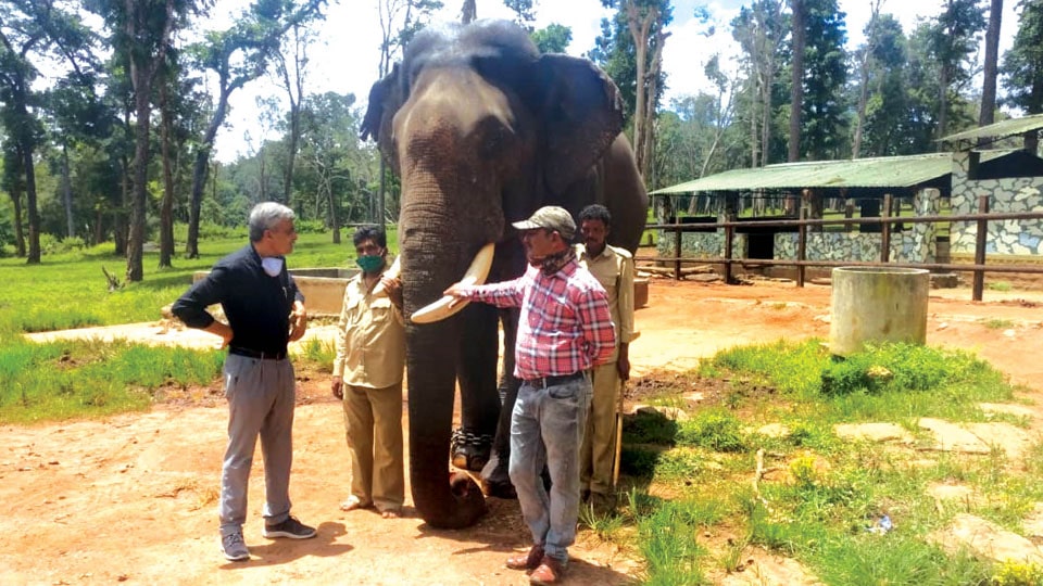 Forest Department begins selection process of Dasara elephants